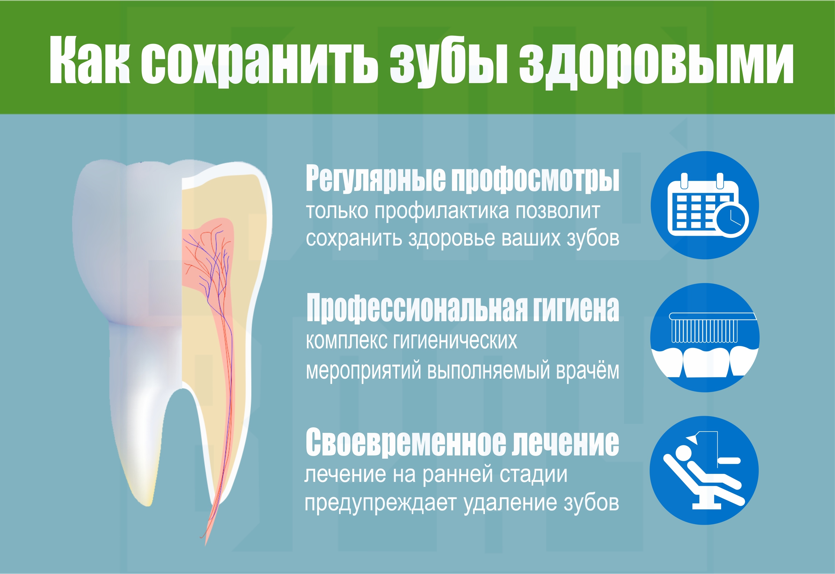 инфографика_как_сохранить_здоровье_зубов